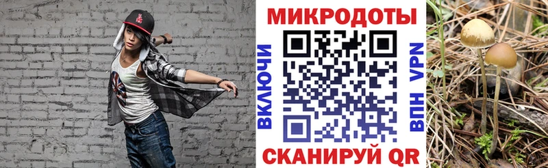 Псилоцибиновые грибы Magic Shrooms  Шали 