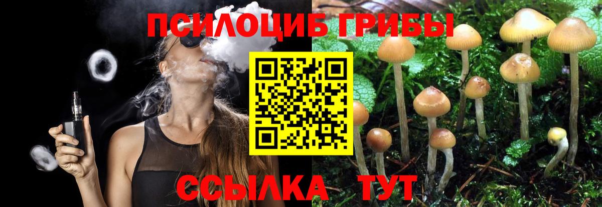 Псилоцибиновые грибы Psilocybe Шали