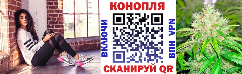 Бошки марихуана MAZAR  Шали 